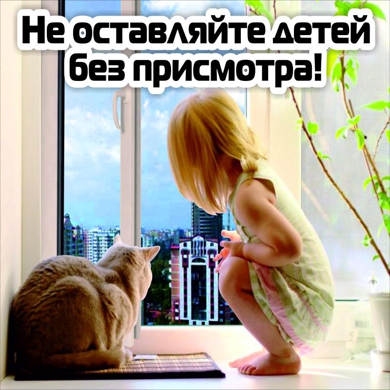 окна.jpg